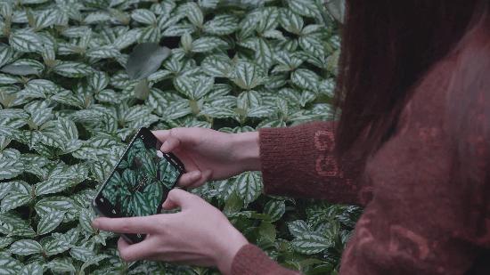 魔爪稳定器mini-mi全景拍摄,魔爪nanose支持机型