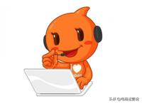 起名的淘宝店铺该怎么装修 (淘宝店铺起名最新免费取名)