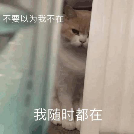 修改密码原密码忘记怎么改新密码,输入密码不对重置密码显示原密码