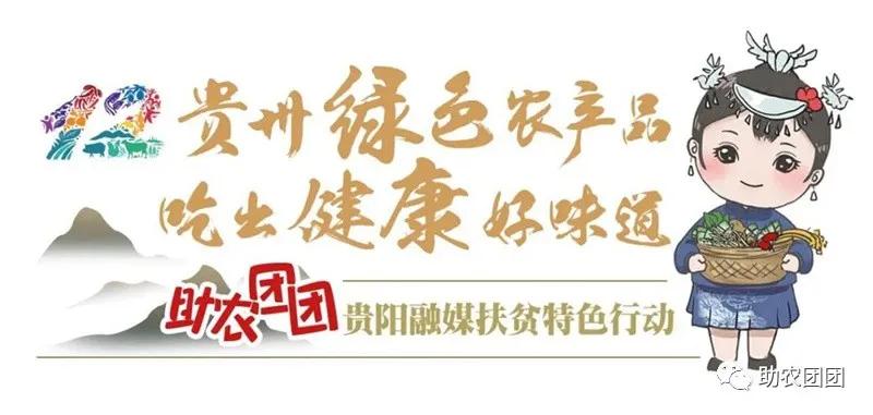 助农团团所有视频,贵州助农团团最新视频