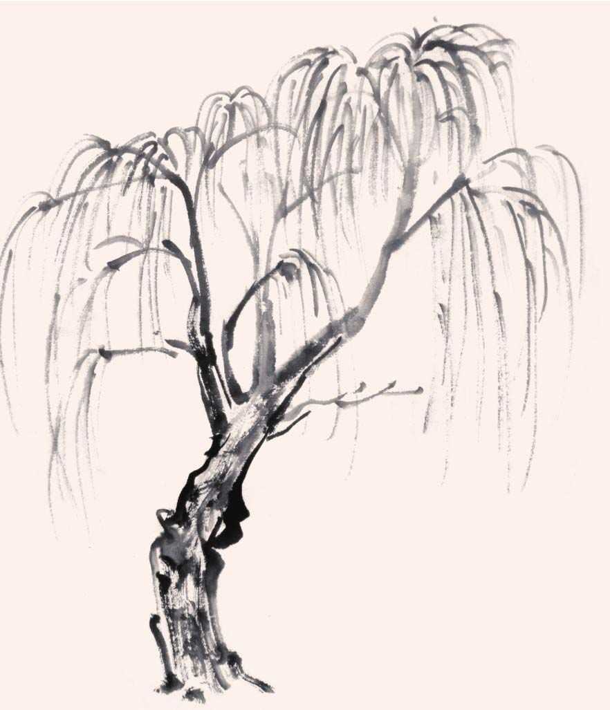 国画画树时的使转用笔方法,国画教程画树入门