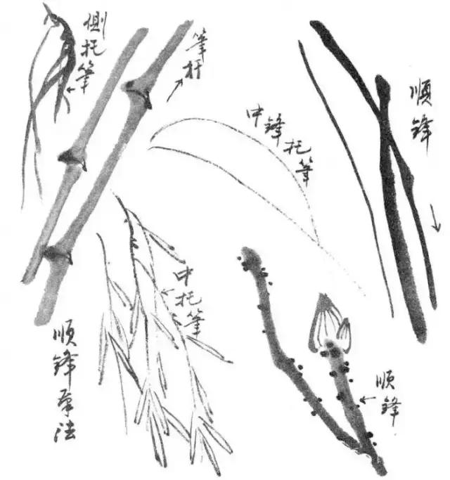 学会笔锋的正确方法,笔锋笔顺怎么练