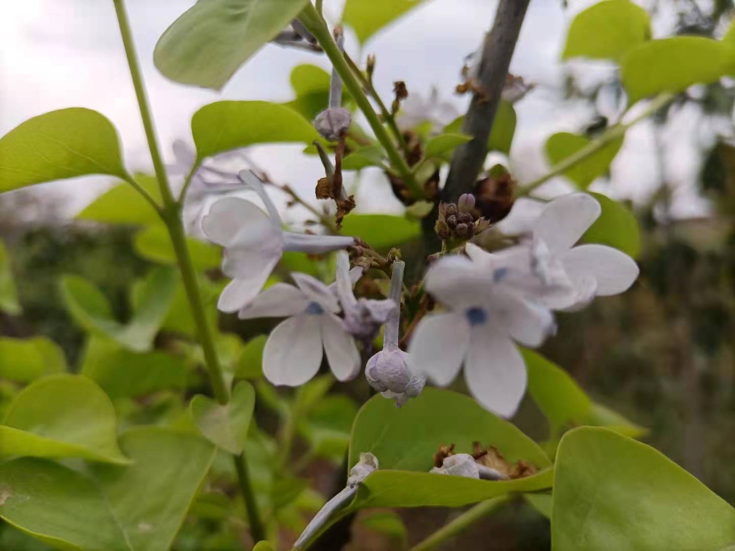 突破层级用什么方法,语文排序题秒杀技巧