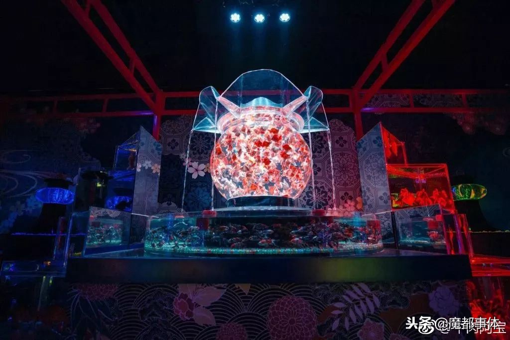 上海天安千树网红打卡点,上海打卡必去的地方排名