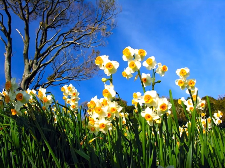 色彩的基础知识及其运用原理图,色彩三大基本概念