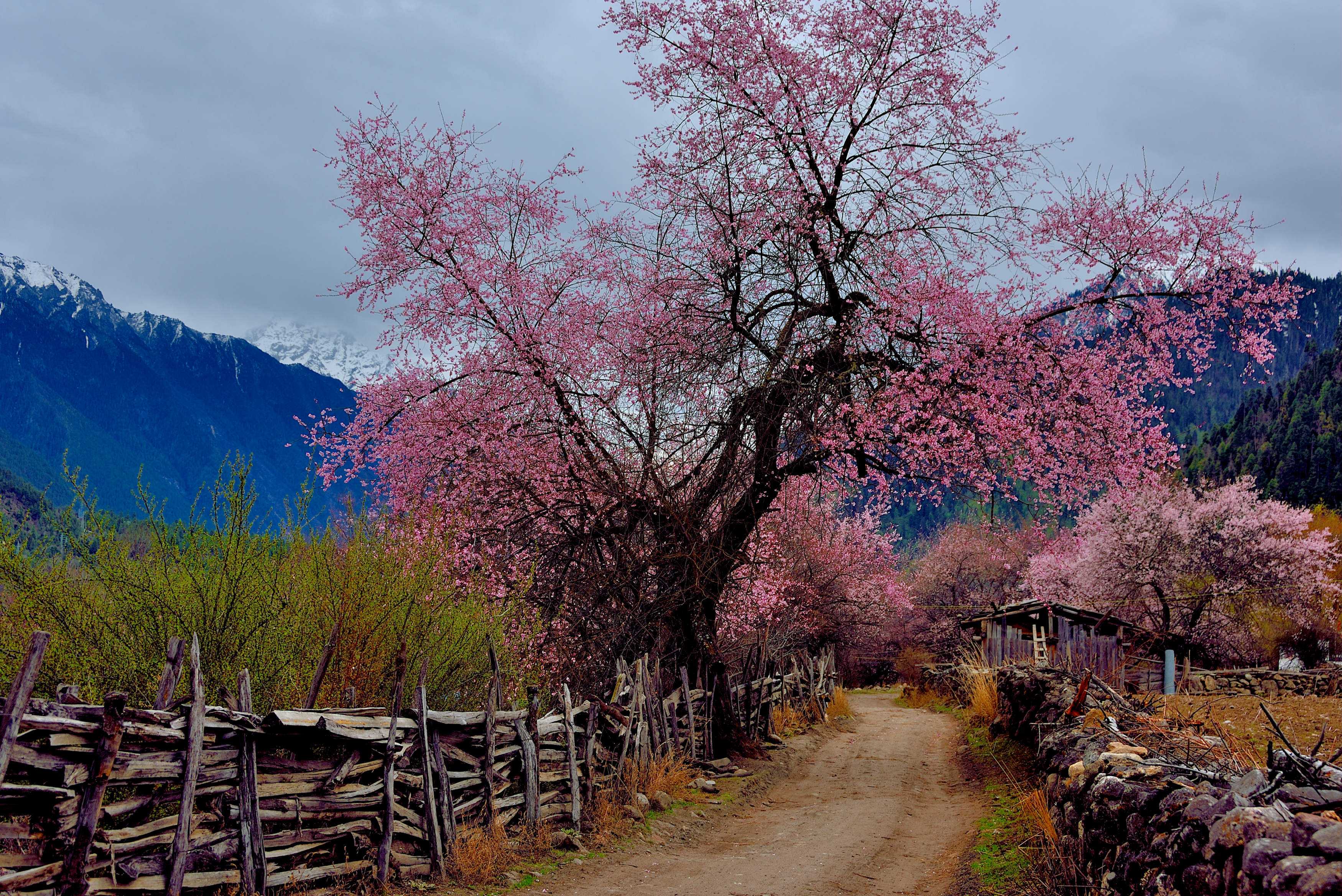 出国旅游担心语言问题,出国旅游预订机票口语