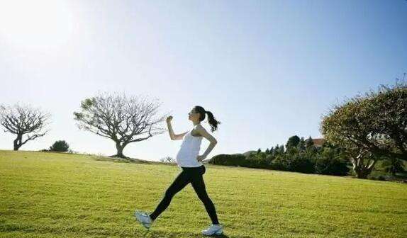 孕妇可以喝菊花茶的功效与作用,孕期喝菊花茶对胎儿有什么影响