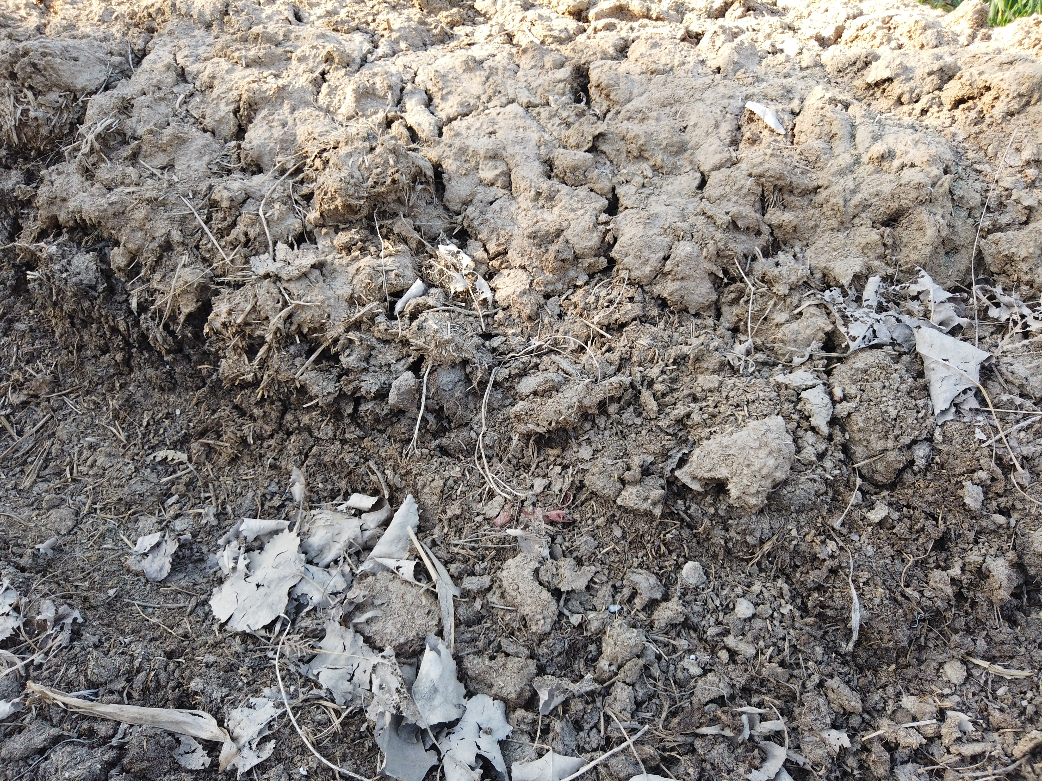 农家肥没少用，蔬菜产量还是低？农户的使用方法要正确