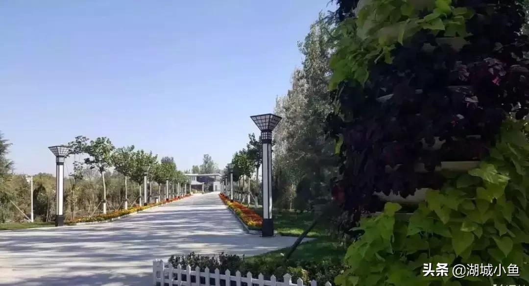 我叫枣强!这是我的最新简历