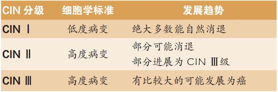 如何看懂hpv筛查单,hpv筛查的全部过程