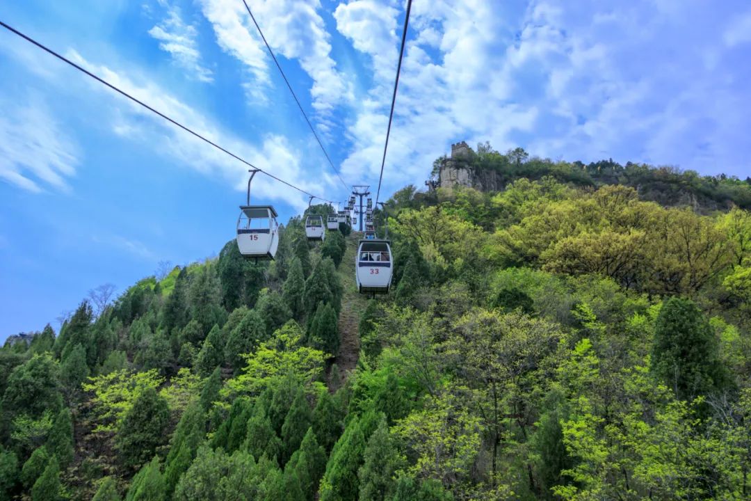 “神兽”归笼，九月临沂天上王城许你一个醉美秋天！