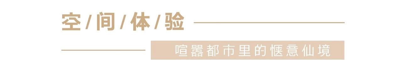 经典案例|董小婉、谭福锅、卢家妈妈……如何炼成爆红品牌？