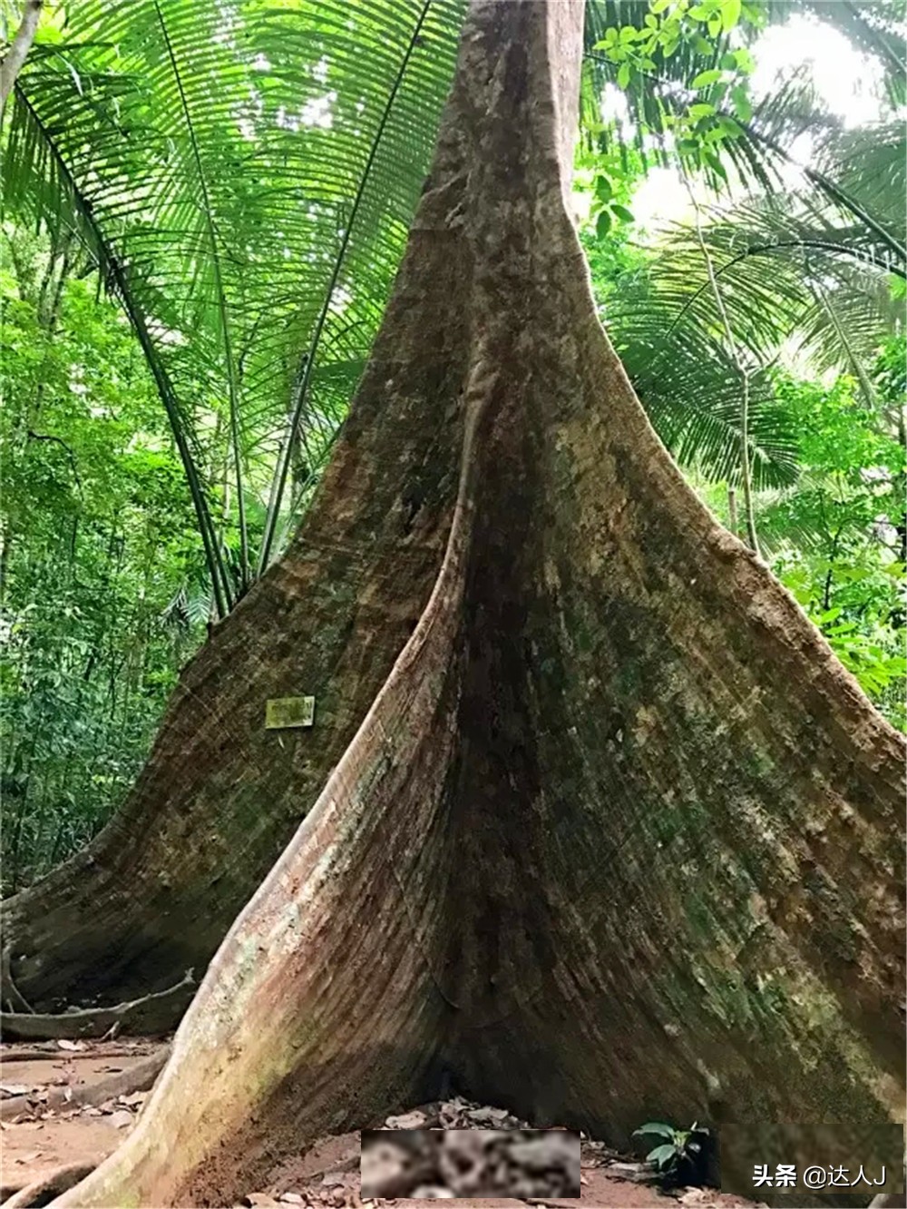 泰国甲米无边泳池,泰国甲米岛泳池