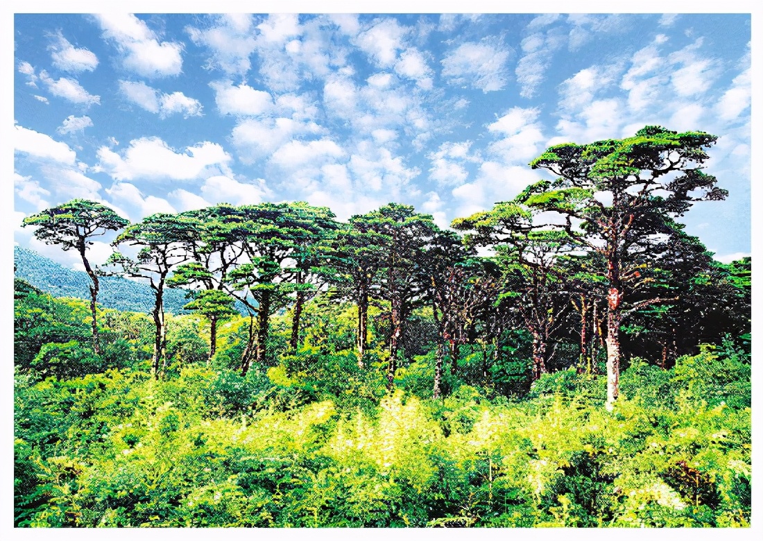 缁挎按闈掑北鏂扮敾鍗风敓鎬佹枃鏄庢柊鏍囨潌,缁挎按闈掑北涓嶅繕鍒濆績