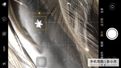 教你宅家拍氛围感大片有手就行,宅家就能轻松拍大片