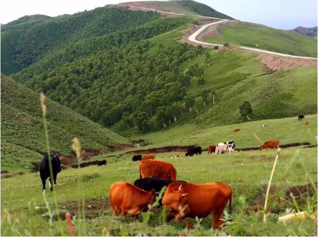 内蒙呼和浩特市内游,五一内蒙古呼和浩特及周边游