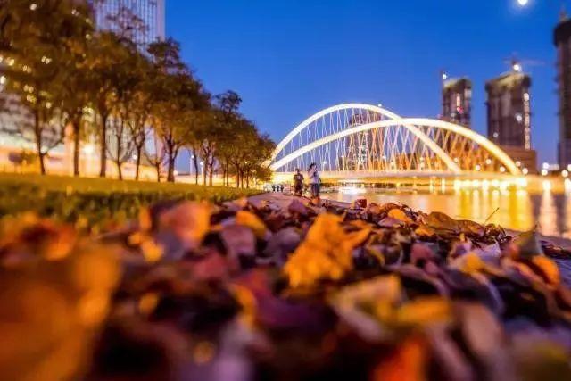 美景天津视频,天津惊艳的视频