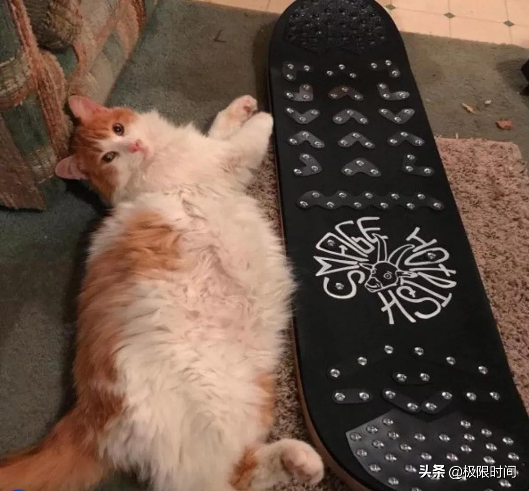 冬奥会服装绘画,冬奥会奖牌设计画