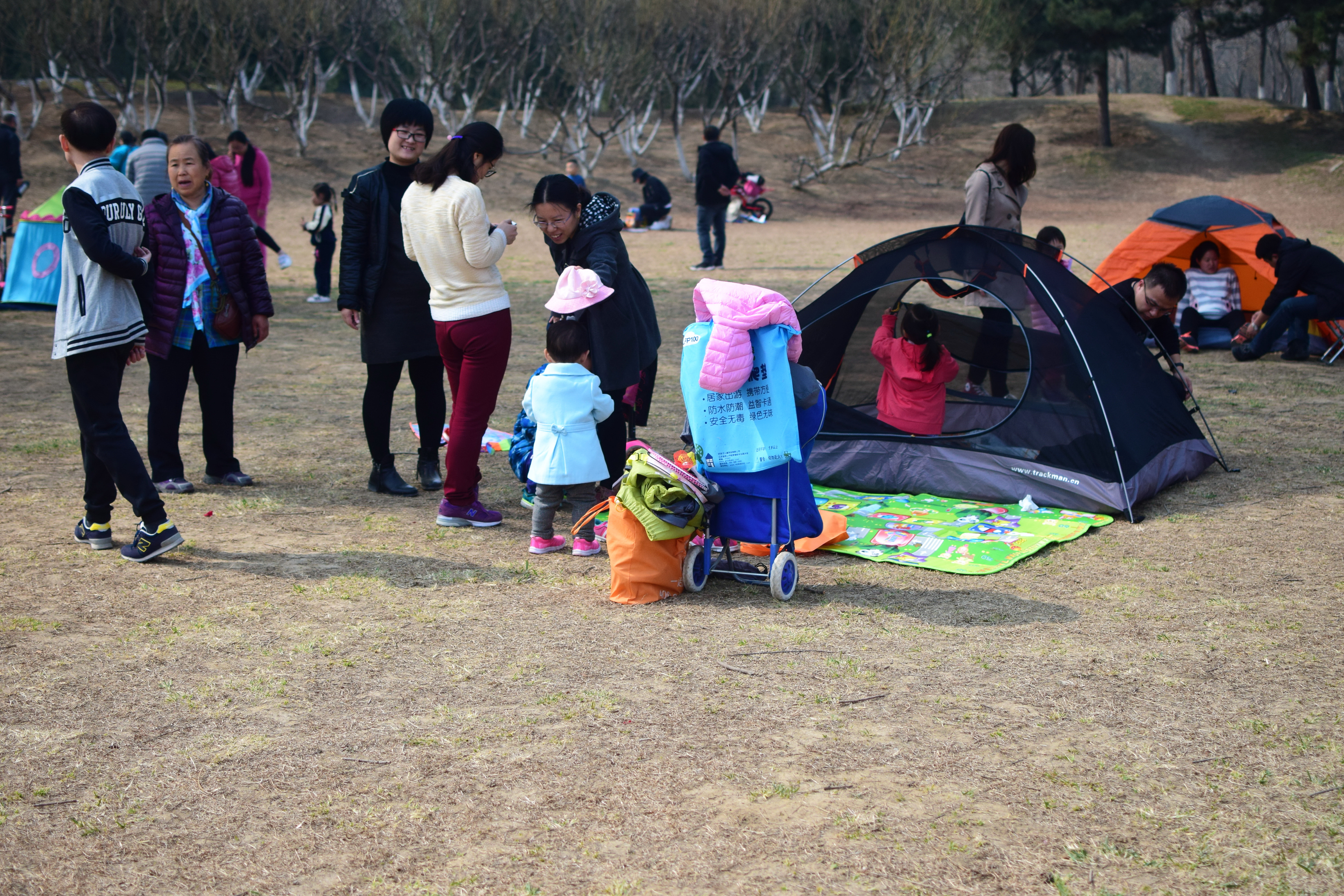 北京奥森让搭帐篷吗,奥森公园禁止营业吗