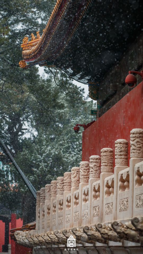 浮生只合尊前老雪满长安道朗诵,浮生只合尊前老雪满长安道谁写的