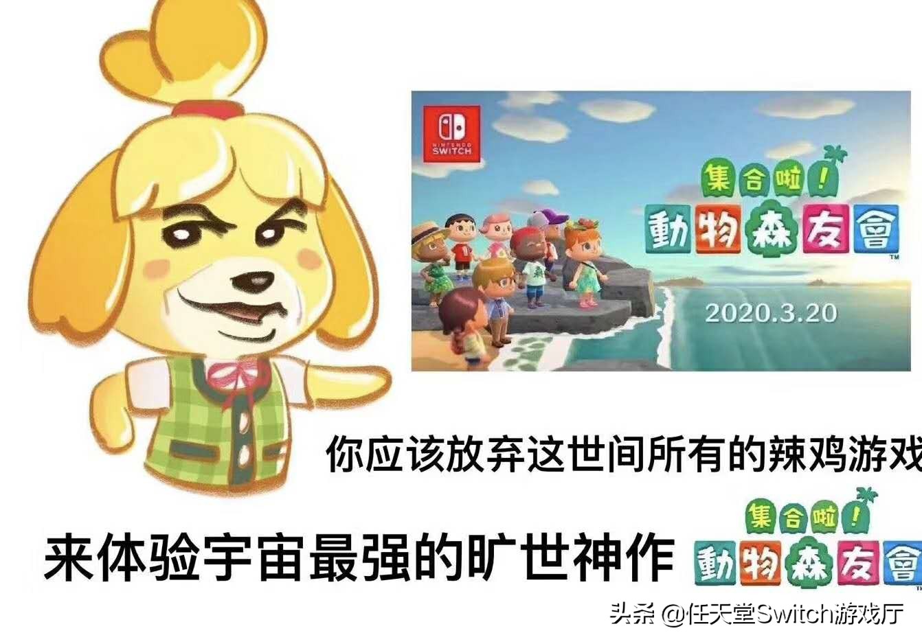 这就是向往的生活综合分析,这就是向往的生活原创视频