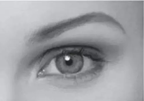 双眼皮有几种类型适合哪些脸型,各种类型的双眼皮适合啥样的人做