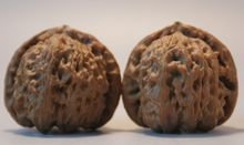 白狮子头核桃什么重量正常,文玩核桃球白狮子头