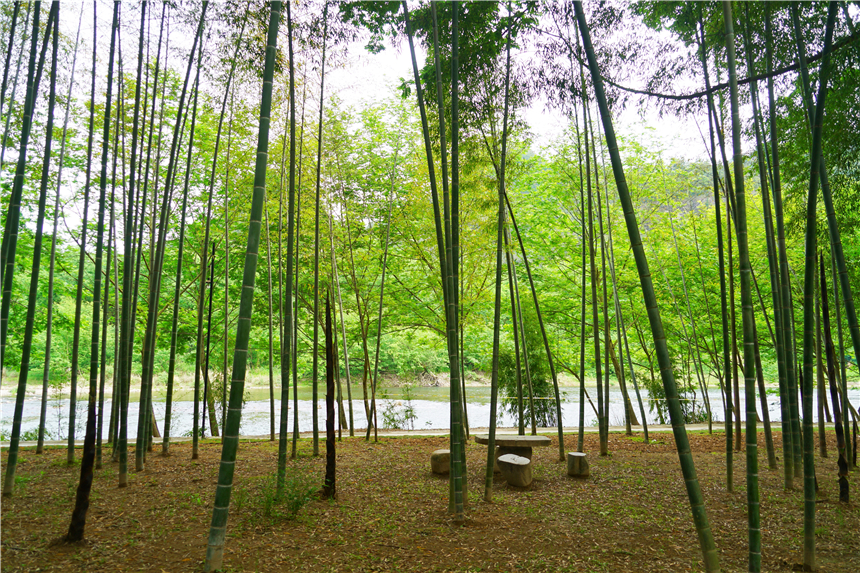 浙江温州的永嘉书院,真正的永嘉书院