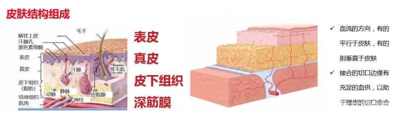 临床清创原则,临床清创