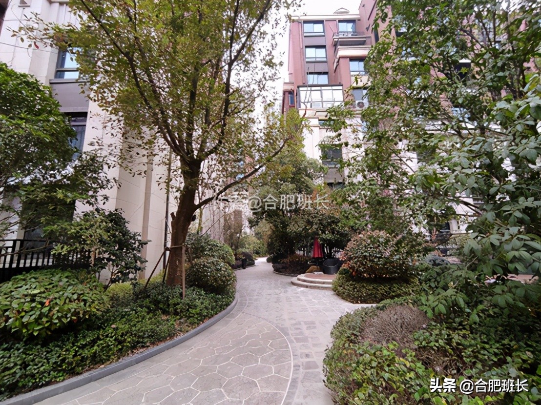 文一名门湖语叠墅,文一名门湖语值不值得买