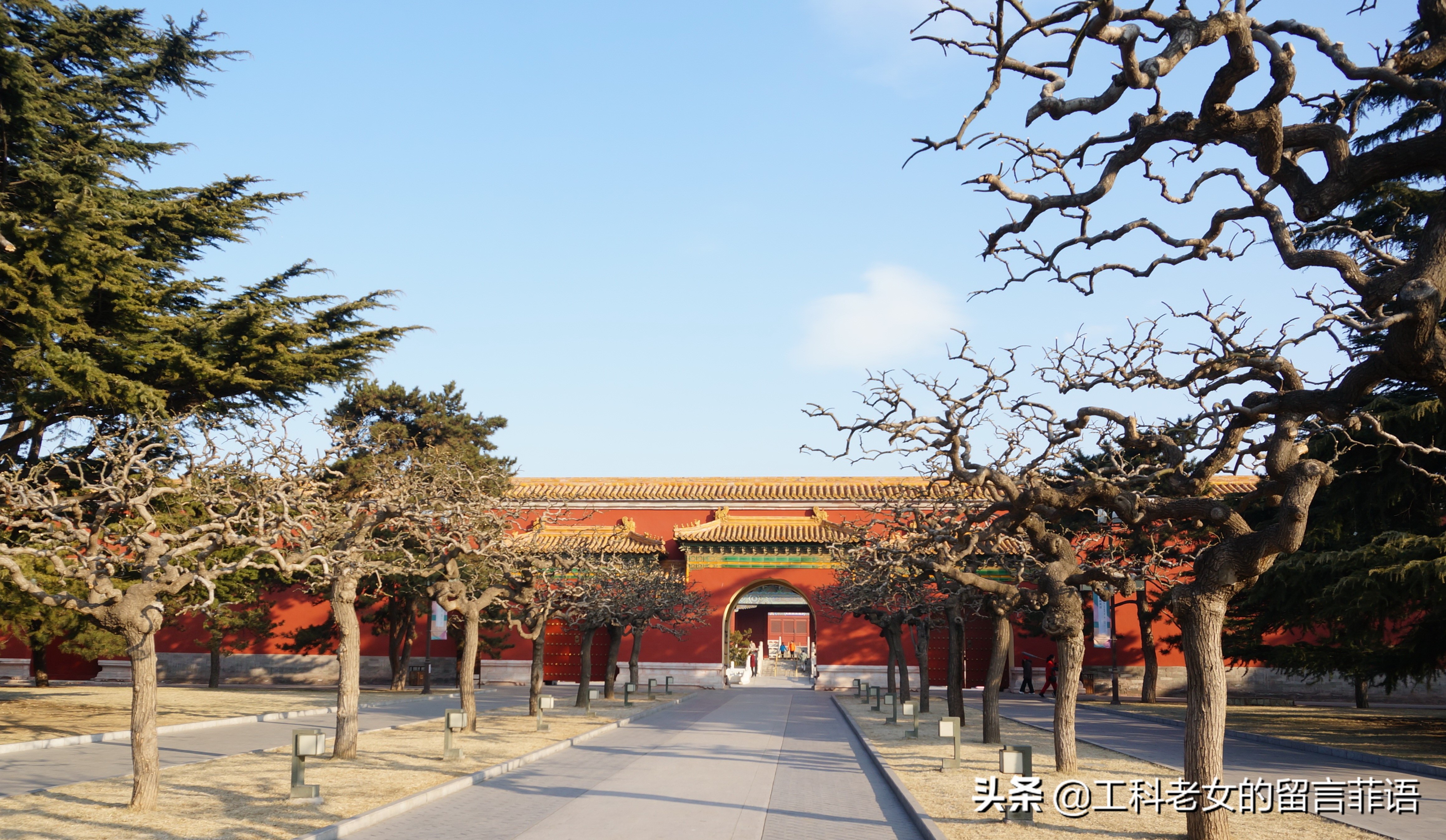 太庙大殿金丝楠木,北京太庙金丝楠木大殿视频素材