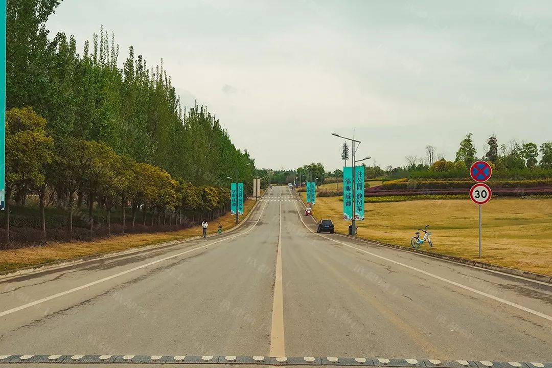 城北198:好与坏都让人“惊叹”