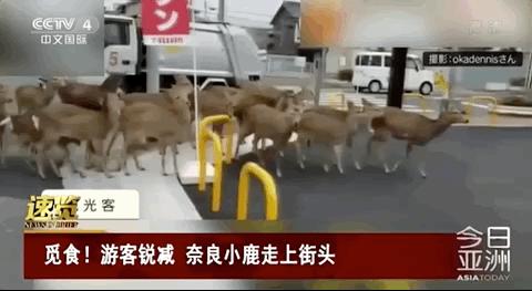 疫情之下未来之路,疫情之下是创业还是打工