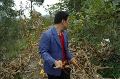 父母双亡后,我独立抚养弟弟长大,他在婚礼上的做法让我又哭又笑