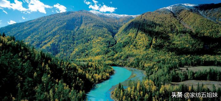 怎么判断是否是真天丝,怎么判断是不是真的天丝