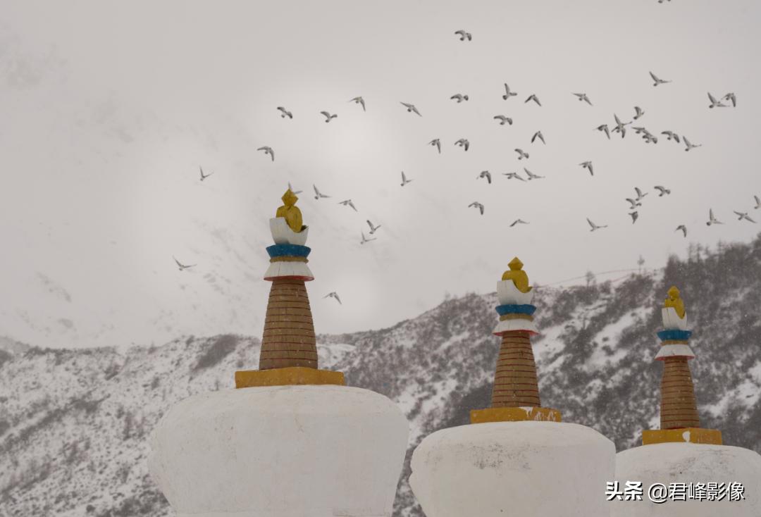 新手学习摄影最有效的办法,新手学摄影入门教程