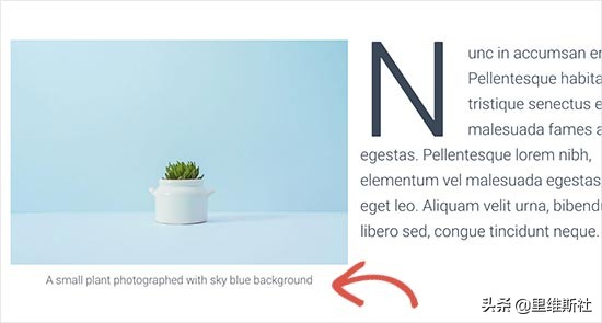wordpress网站结构优化,wordpress网站能做到多漂亮