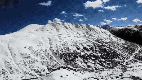 一个安徽爷爷，花1万块种出5000㎡私家花园，被评为中国最美