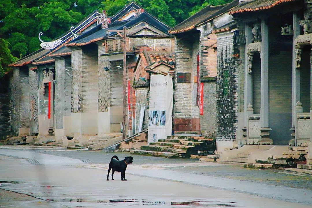 广州拍照好看的地方情侣,广州适合女孩子拍照的地方