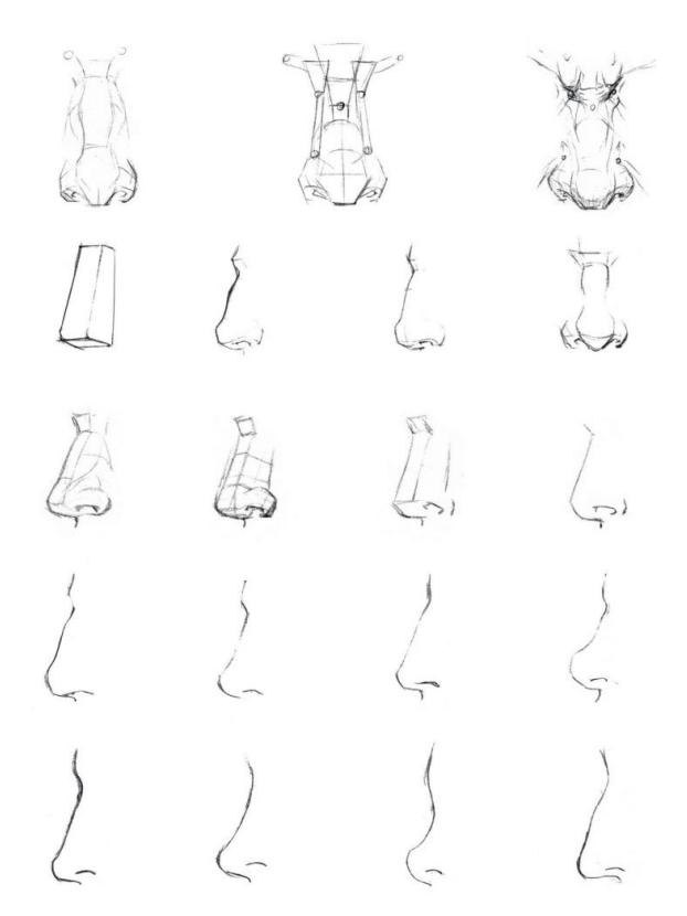 零基础人物脸的画法,人体五官细节该怎么画