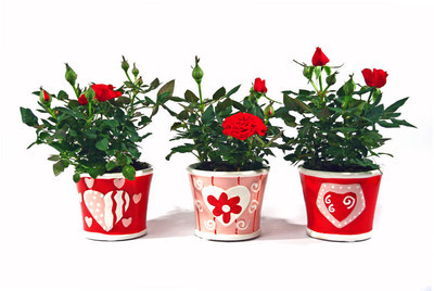 婚礼仪式新人感谢来宾鞠躬主持词,新的简短精彩的婚礼主持词完整版