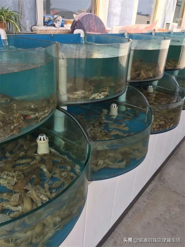 海边可以赶海吃住玩一体的农家院,秦皇岛黄金海岸牧海农家院