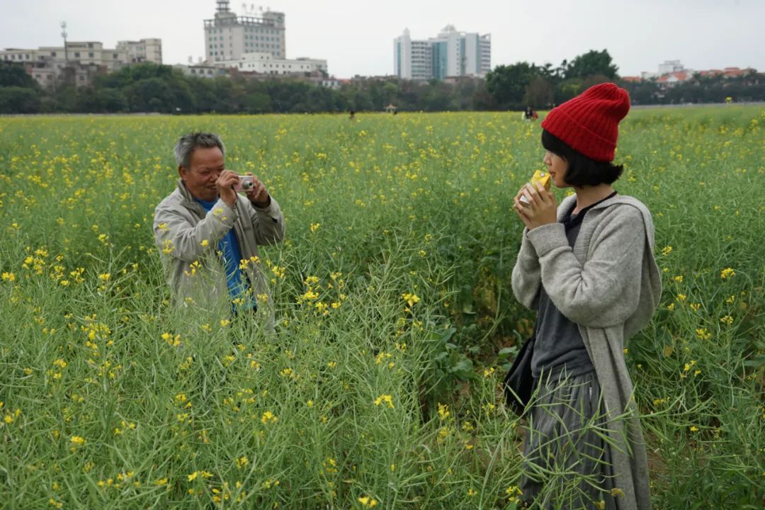 一些像土拨鼠一样的小故事