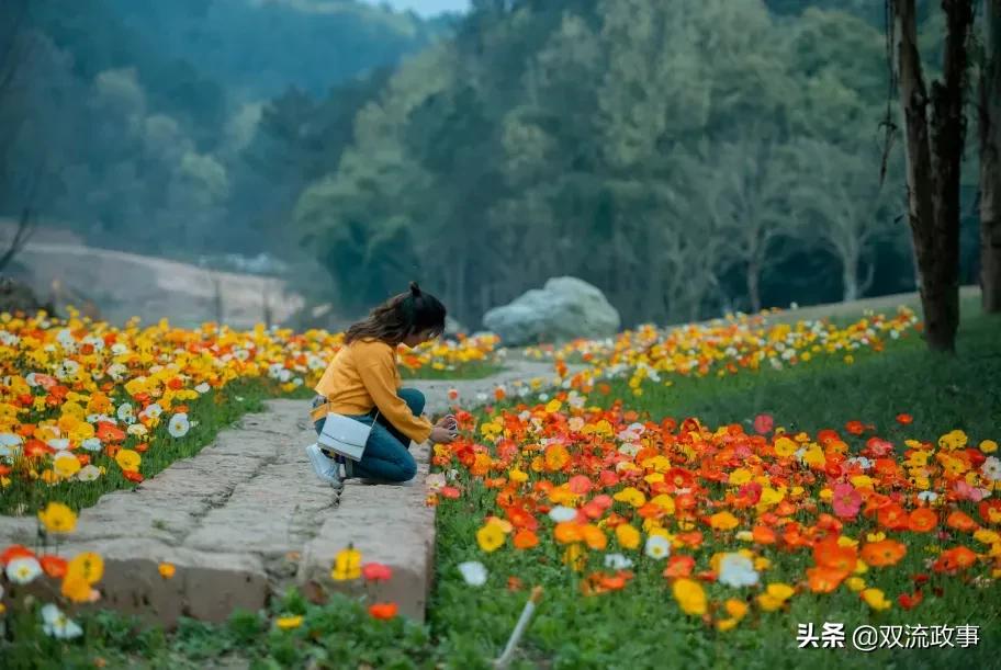 成都双流最美公园,公园城市的美