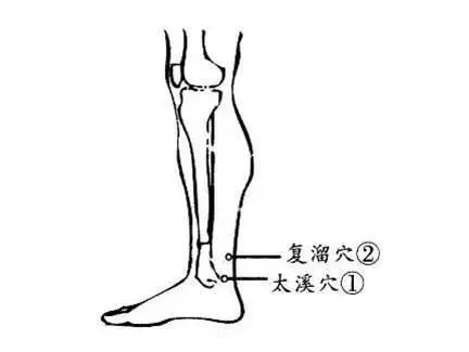 中里巴人消炎穴,中里巴人的穴位按摩法