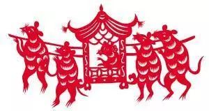 小白鼠很接近人类,我们对老鼠的认知