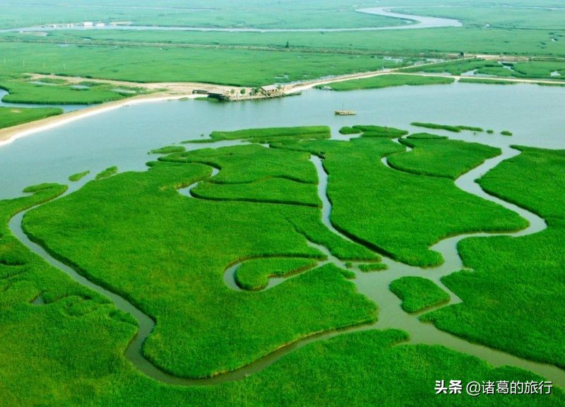 盘锦红色海滩美景,这个秋天一定要去海边看看