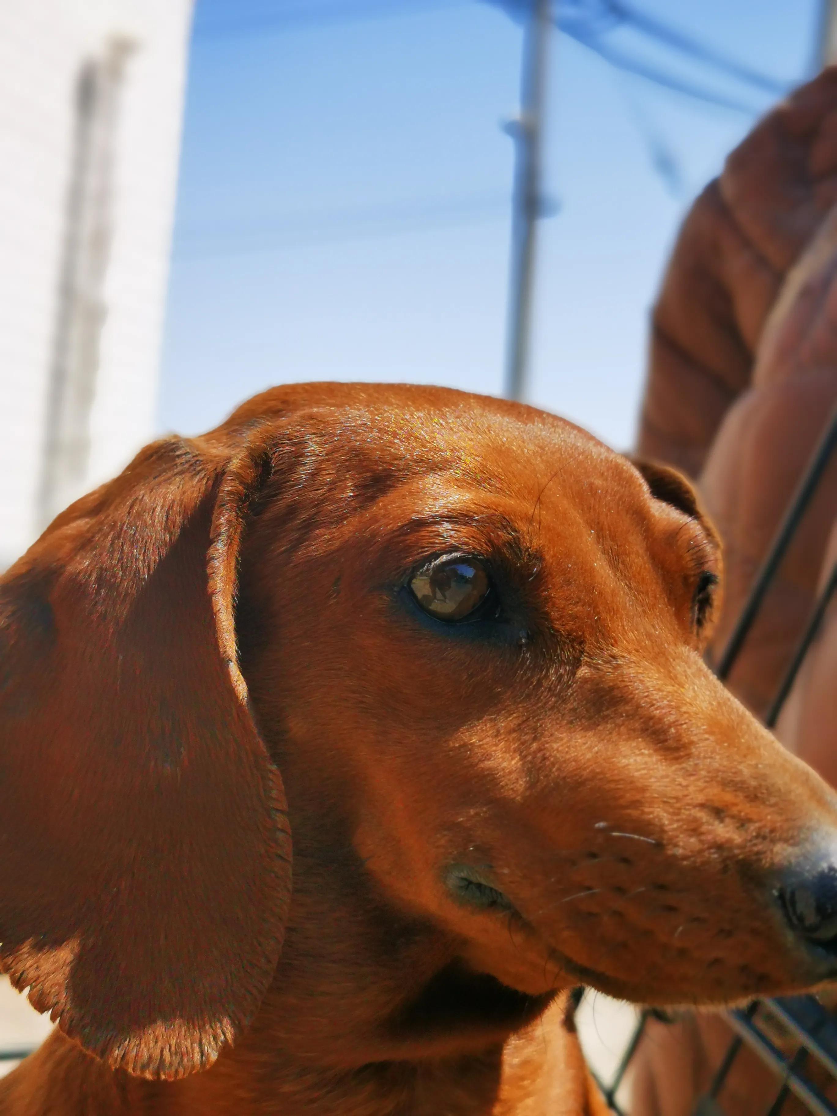 没经验能当检验员吗,当班长好还是当验收员好