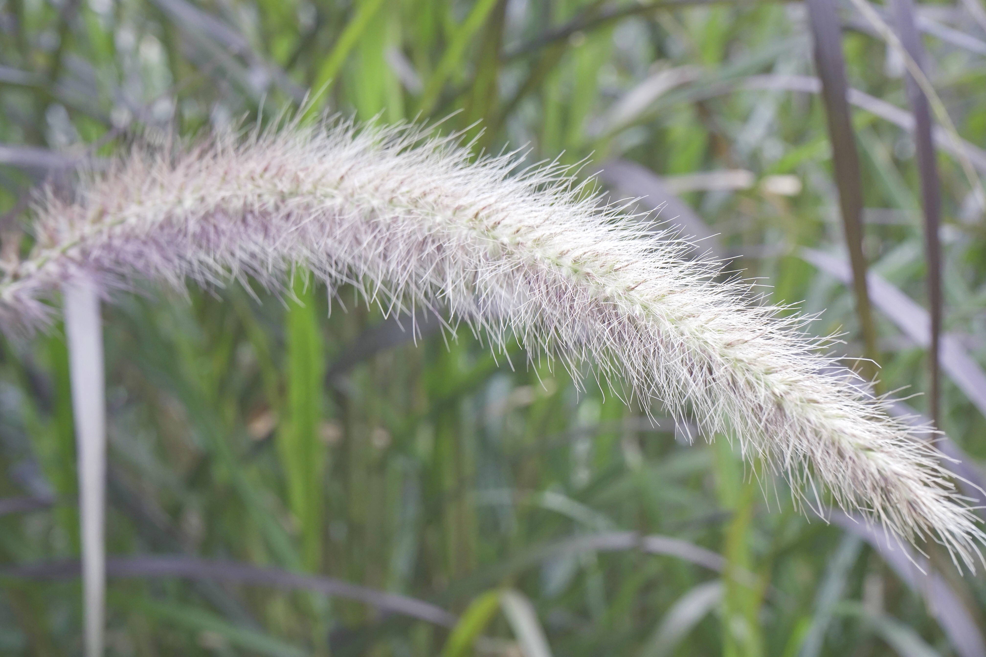 景深和光圈与焦距的关系,景深与焦距分析