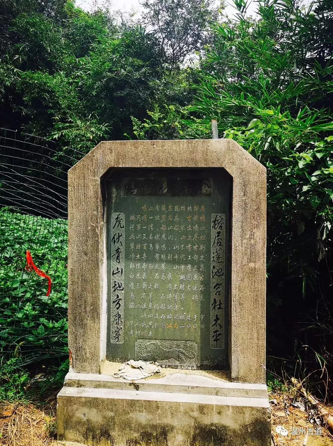 千年古村平阳县鸣山村古城夜景,平阳昆阳鸣山古村落